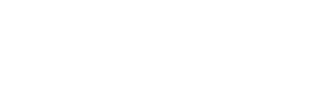 SDH Crisis Management
